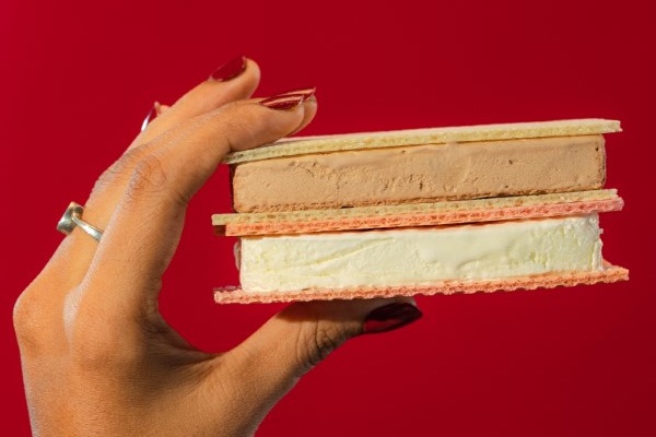 The North Chocolate Ice Cream Sandwich